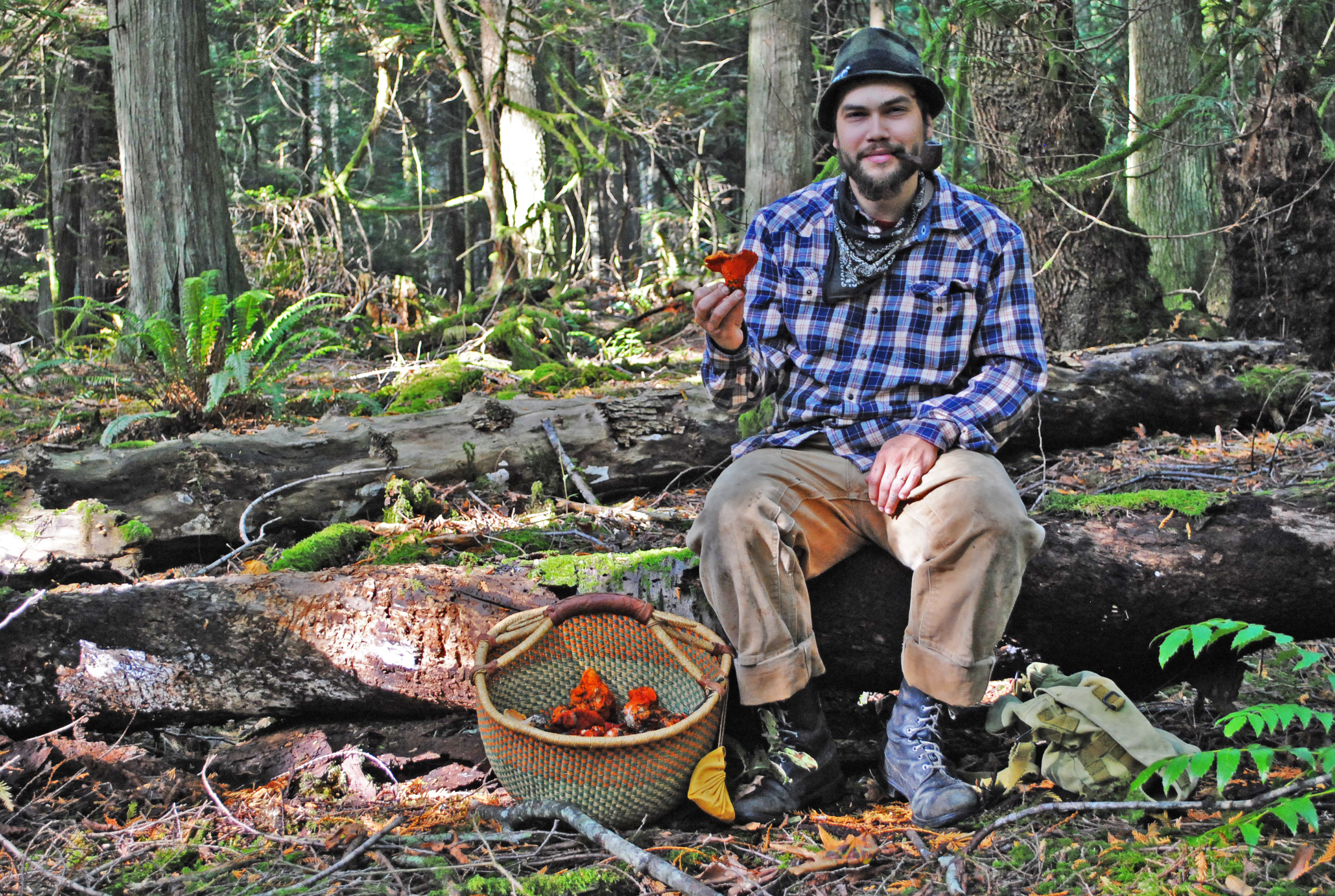 Finding Magic Mushrooms • Vancouver Island